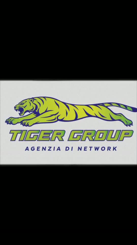 Anteprima video social Tiger Group 3