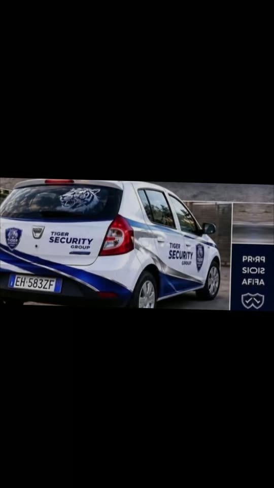 Anteprima video social Tiger Group 1